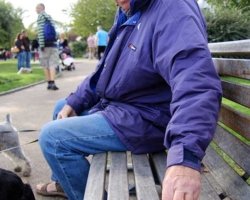 Benches-1
