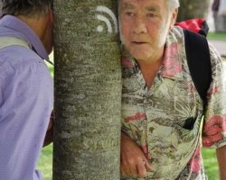 Trees-2