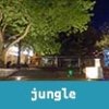 Jungle